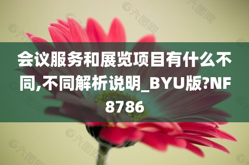 会议服务和展览项目有什么不同,不同解析说明_BYU版?NF8786