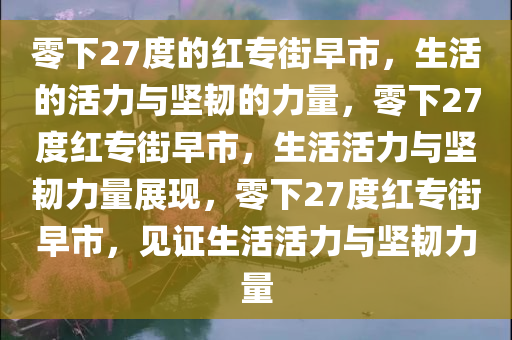 零下27度的红专街早市，生活的活力与坚韧的力量，零下27度红专街早市，生活活力与坚韧力量展现，零下27度红专街早市，见证生活活力与坚韧力量