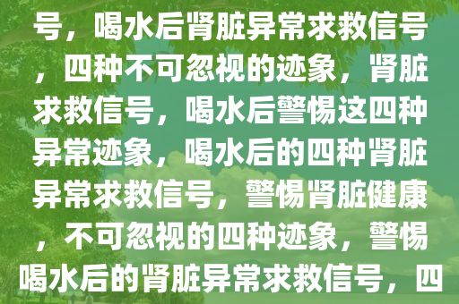 喝水后的四种异常肾脏求救信号，喝水后肾脏异常求救信号，四种不可忽视的迹象，肾脏求救信号，喝水后警惕这四种异常迹象，喝水后的四种肾脏异常求救信号，警惕肾脏健康，不可忽视的四种迹象，警惕喝水后的肾脏异常求救信号，四种不可忽视的迹象