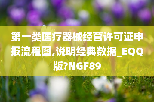 第一类医疗器械经营许可证申报流程图,说明经典数据_EQQ版?NGF89