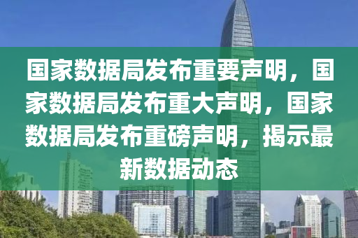 国家数据局发布重要声明，国家数据局发布重大声明，国家数据局发布重磅声明，揭示最新数据动态