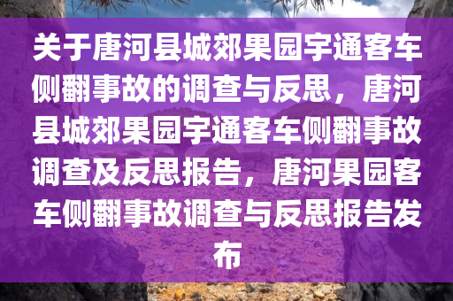 关于唐河县城郊果园宇通客车侧翻事故的调查与反思，唐河县城郊果园宇通客车侧翻事故调查及反思报告，唐河果园客车侧翻事故调查与反思报告发布