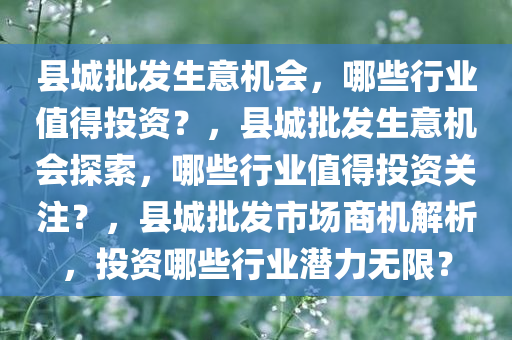 县城批发生意机会，哪些行业值得投资？，县城批发生意机会探索，哪些行业值得投资关注？，县城批发市场商机解析，投资哪些行业潜力无限？