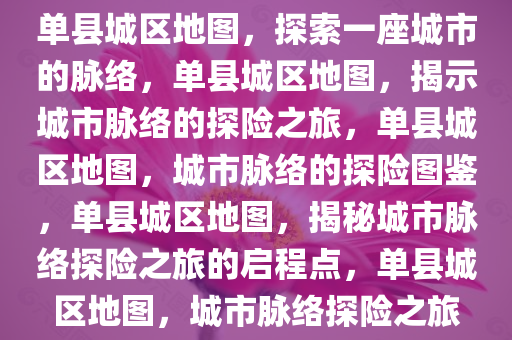 单县城区地图，探索一座城市的脉络，单县城区地图，揭示城市脉络的探险之旅，单县城区地图，城市脉络的探险图鉴，单县城区地图，揭秘城市脉络探险之旅的启程点，单县城区地图，城市脉络探险之旅