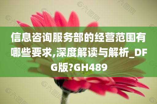 信息咨询服务部的经营范围有哪些要求,深度解读与解析_DFG版?GH489