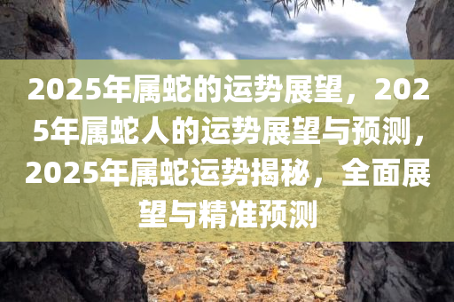 2025年属蛇的运势展望，2025年属蛇人的运势展望与预测，2025年属蛇运势揭秘，全面展望与精准预测