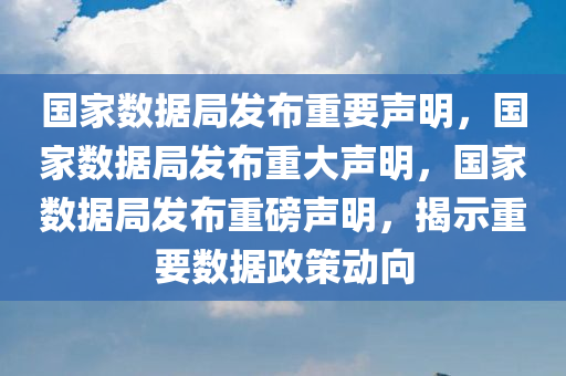 国家数据局发布重要声明，国家数据局发布重大声明，国家数据局发布重磅声明，揭示重要数据政策动向