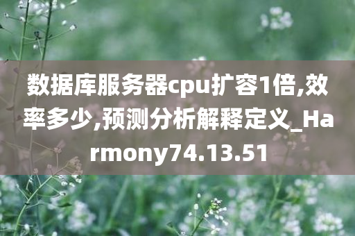 数据库服务器cpu扩容1倍,效率多少,预测分析解释定义_Harmony74.13.51