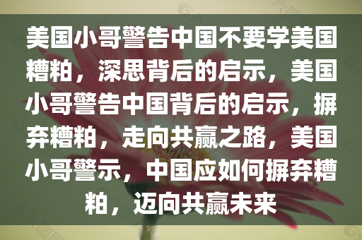 美国小哥警告中国不要学美国糟粕，深思背后的启示，美国小哥警告中国背后的启示，摒弃糟粕，走向共赢之路，美国小哥警示，中国应如何摒弃糟粕，迈向共赢未来