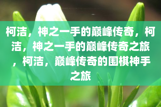 柯洁，神之一手的巅峰传奇，柯洁，神之一手的巅峰传奇之旅，柯洁，巅峰传奇的围棋神手之旅