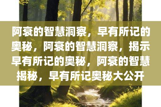 阿衰的智慧洞察，早有所记的奥秘，阿衰的智慧洞察，揭示早有所记的奥秘，阿衰的智慧揭秘，早有所记奥秘大公开