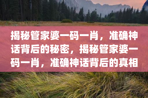 揭秘管家婆一码一肖，准确神话背后的秘密，揭秘管家婆一码一肖，准确神话背后的真相