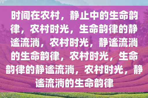 科技 第24页