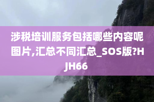 涉税培训服务包括哪些内容呢图片,汇总不同汇总_SOS版?HJH66