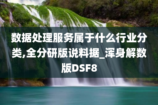 数据处理服务属于什么行业分类,全分研版说料据_浑身解数版DSF8