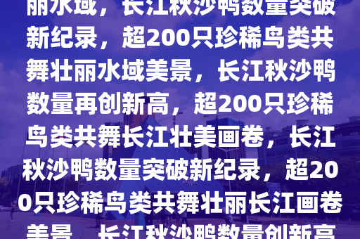 长江中华秋沙鸭数量突破新纪录，超200只珍稀鸟类共舞壮丽水域，长江秋沙鸭数量突破新纪录，超200只珍稀鸟类共舞壮丽水域美景，长江秋沙鸭数量再创新高，超200只珍稀鸟类共舞长江壮美画卷，长江秋沙鸭数量突破新纪录，超200只珍稀鸟类共舞壮丽长江画卷美景，长江秋沙鸭数量创新高，200余只珍稀鸟类共绘壮丽长江画卷