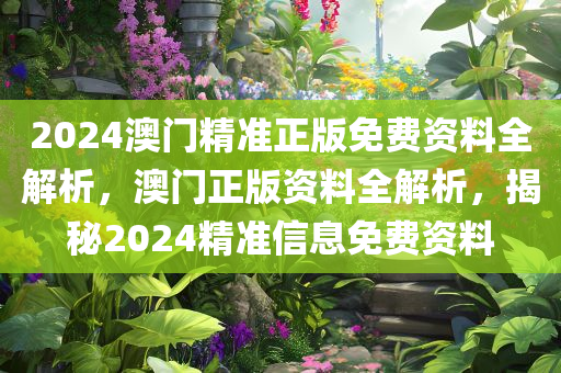 2024澳门精准正版免费资料全解析，澳门正版资料全解析，揭秘2024精准信息免费资料