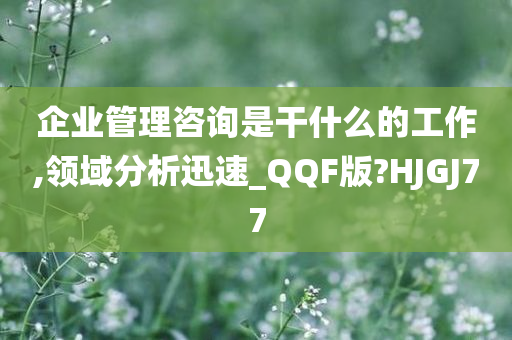 企业管理咨询是干什么的工作,领域分析迅速_QQF版?HJGJ77