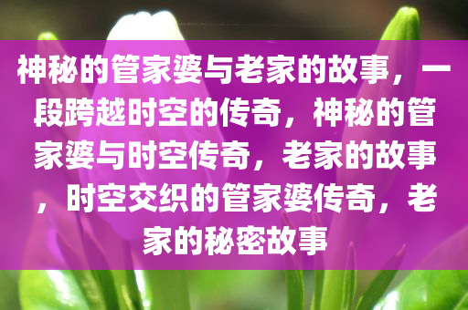 神秘的管家婆与老家的故事，一段跨越时空的传奇，神秘的管家婆与时空传奇，老家的故事，时空交织的管家婆传奇，老家的秘密故事