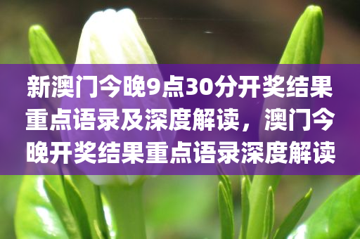 新澳门今晚9点30分开奖结果重点语录及深度解读，澳门今晚开奖结果重点语录深度解读