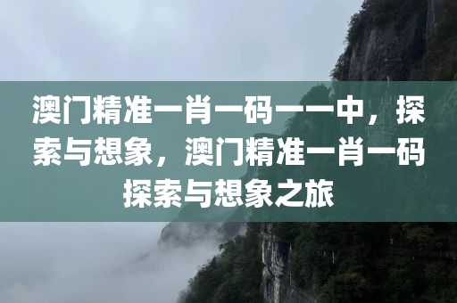 澳门精准一肖一码一一中，探索与想象，澳门精准一肖一码探索与想象之旅