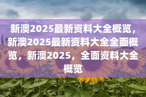 新澳2025最新资料大全概览，新澳2025最新资料大全全面概览，新澳2025，全面资料大全概览