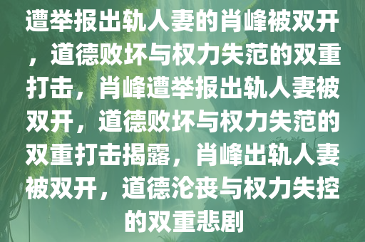 遭举报出轨人妻的肖峰被双开，道德败坏与权力失范的双重打击，肖峰遭举报出轨人妻被双开，道德败坏与权力失范的双重打击揭露，肖峰出轨人妻被双开，道德沦丧与权力失控的双重悲剧