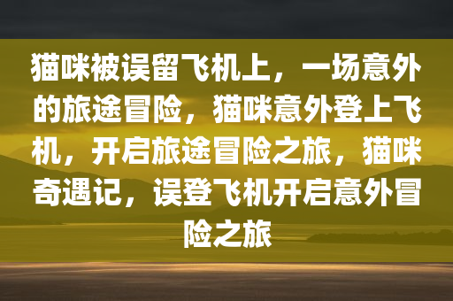 猫咪被误留飞机上，一场意外的旅途冒险，猫咪意外登上飞机，开启旅途冒险之旅，猫咪奇遇记，误登飞机开启意外冒险之旅