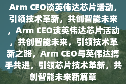 Arm CEO谈英伟达芯片活动，引领技术革新，共创智能未来，Arm CEO谈英伟达芯片活动，共创智能未来，引领技术革新之路，Arm CEO与英伟达携手共进，引领芯片技术革新，共创智能未来新篇章