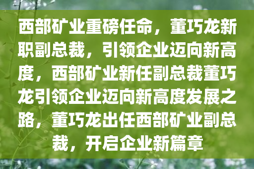 西部矿业重磅任命，董巧龙新职副总裁，引领企业迈向新高度，西部矿业新任副总裁董巧龙引领企业迈向新高度发展之路，董巧龙出任西部矿业副总裁，开启企业新篇章