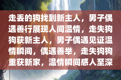 走丢的狗找到新主人，男子偶遇善行展现人间温情，走失狗狗获新主人，男子偶遇见证温情瞬间，偶遇善举，走失狗狗重获新家，温情瞬间感人至深