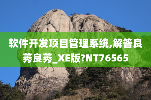 软件开发项目管理系统,解答良莠良莠_XE版?NT76565