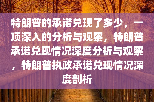 特朗普的承诺兑现了多少，一项深入的分析与观察，特朗普承诺兑现情况深度分析与观察，特朗普执政承诺兑现情况深度剖析