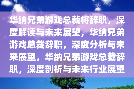 华纳兄弟游戏总裁将辞职，深度解读与未来展望，华纳兄弟游戏总裁辞职，深度分析与未来展望，华纳兄弟游戏总裁辞职，深度剖析与未来行业展望