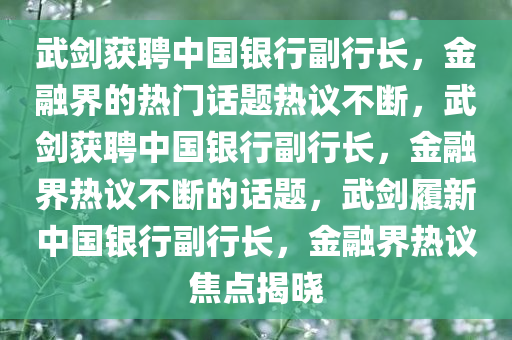 武剑获聘中国银行副行长，金融界的热门话题热议不断，武剑获聘中国银行副行长，金融界热议不断的话题，武剑履新中国银行副行长，金融界热议焦点揭晓