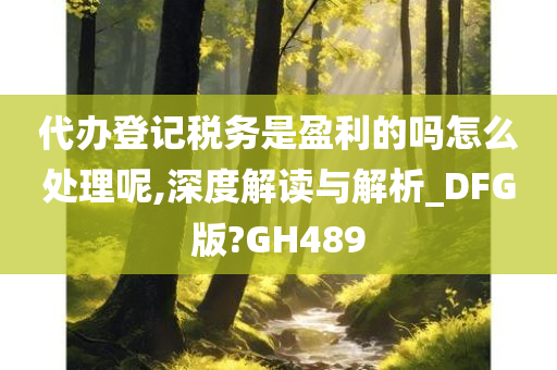 代办登记税务是盈利的吗怎么处理呢,深度解读与解析_DFG版?GH489