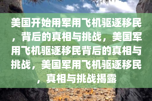 美国开始用军用飞机驱逐移民，背后的真相与挑战，美国军用飞机驱逐移民背后的真相与挑战，美国军用飞机驱逐移民，真相与挑战揭露