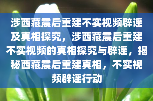 涉西藏震后重建不实视频辟谣及真相探究，涉西藏震后重建不实视频的真相探究与辟谣，揭秘西藏震后重建真相，不实视频辟谣行动