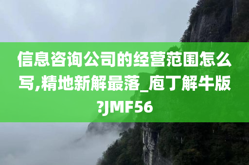 信息咨询公司的经营范围怎么写,精地新解最落_庖丁解牛版?JMF56