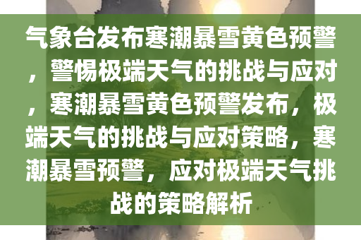 气象台发布寒潮暴雪黄色预警，警惕极端天气的挑战与应对，寒潮暴雪黄色预警发布，极端天气的挑战与应对策略，寒潮暴雪预警，应对极端天气挑战的策略解析