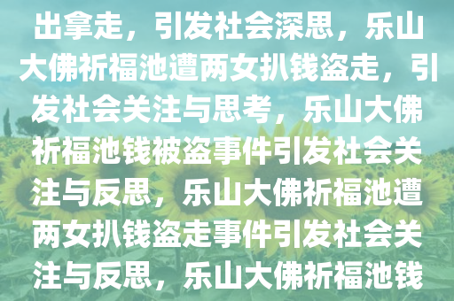 两女子将乐山大佛祈福池钱扒出拿走，引发社会深思，乐山大佛祈福池遭两女扒钱盗走，引发社会关注与思考，乐山大佛祈福池钱被盗事件引发社会关注与反思，乐山大佛祈福池遭两女扒钱盗走事件引发社会关注与反思，乐山大佛祈福池钱被盗事件引发社会关注与反思