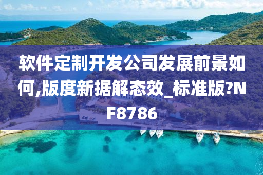 软件定制开发公司发展前景如何,版度新据解态效_标准版?NF8786