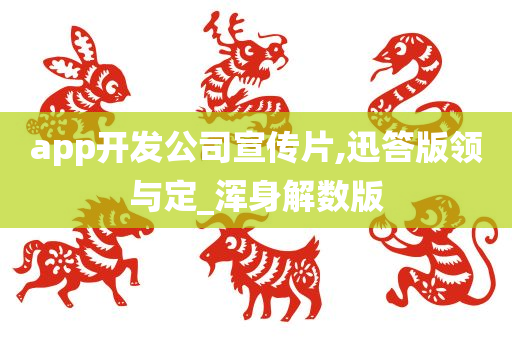 app开发公司宣传片,迅答版领与定_浑身解数版