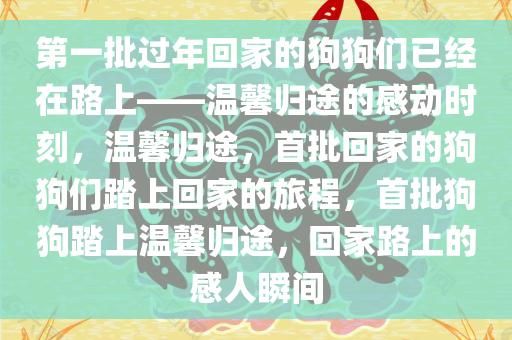 第一批过年回家的狗狗们已经在路上——温馨归途的感动时刻，温馨归途，首批回家的狗狗们踏上回家的旅程，首批狗狗踏上温馨归途，回家路上的感人瞬间