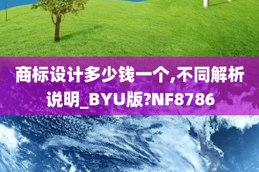 商标设计多少钱一个,不同解析说明_BYU版?NF8786