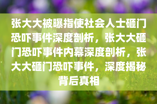 张大大被曝指使社会人士砸门恐吓事件深度剖析，张大大砸门恐吓事件内幕深度剖析，张大大砸门恐吓事件，深度揭秘背后真相