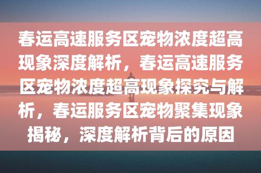 春运高速服务区宠物浓度超高现象深度解析，春运高速服务区宠物浓度超高现象探究与解析，春运服务区宠物聚集现象揭秘，深度解析背后的原因