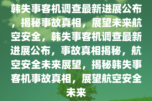 韩失事客机调查最新进展公布，揭秘事故真相，展望未来航空安全，韩失事客机调查最新进展公布，事故真相揭秘，航空安全未来展望，揭秘韩失事客机事故真相，展望航空安全未来