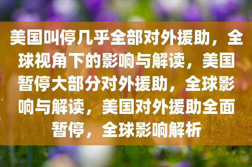 美国叫停几乎全部对外援助，全球视角下的影响与解读，美国暂停大部分对外援助，全球影响与解读，美国对外援助全面暂停，全球影响解析