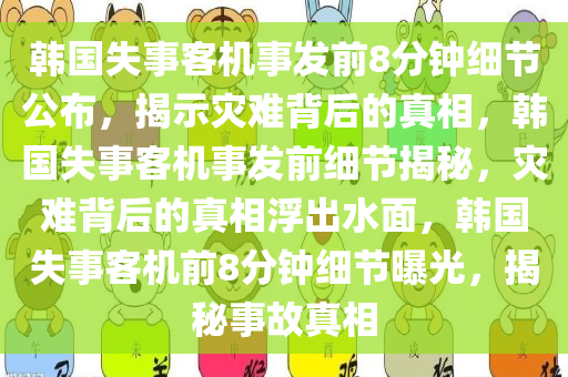 韩国失事客机事发前8分钟细节公布，揭示灾难背后的真相，韩国失事客机事发前细节揭秘，灾难背后的真相浮出水面，韩国失事客机前8分钟细节曝光，揭秘事故真相